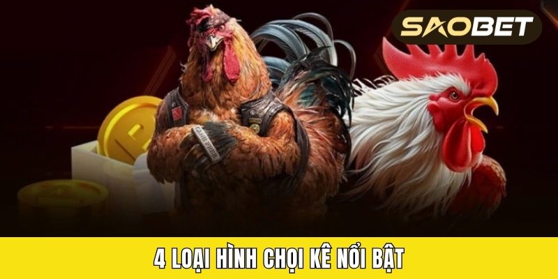 4 loại hình chọi kê nổi bật