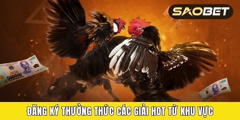 Đăng ký thưởng thức các giải hot từ khu vực